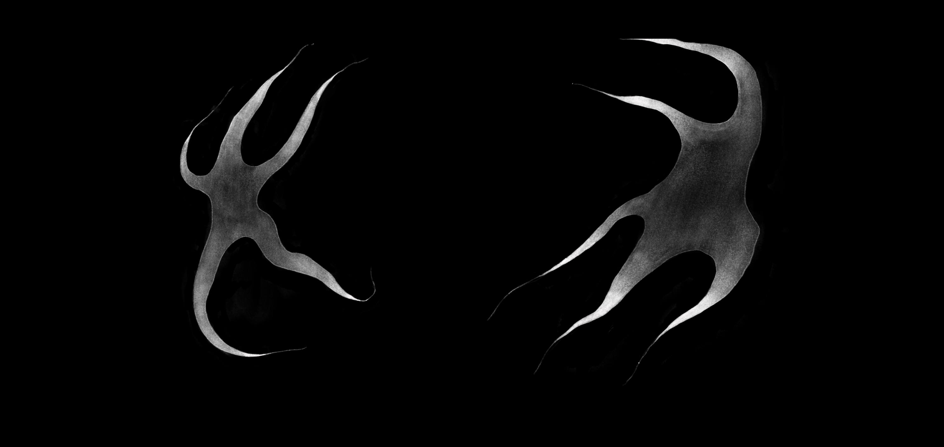 Black and white abstract star design on a black background